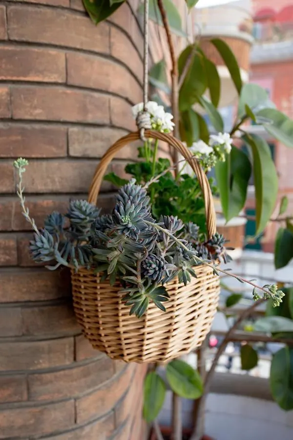 Napoli Bonita B&B Italy